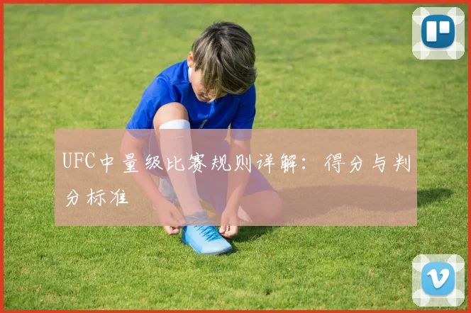 UFC中量级比赛规则详解：得分与判分标准