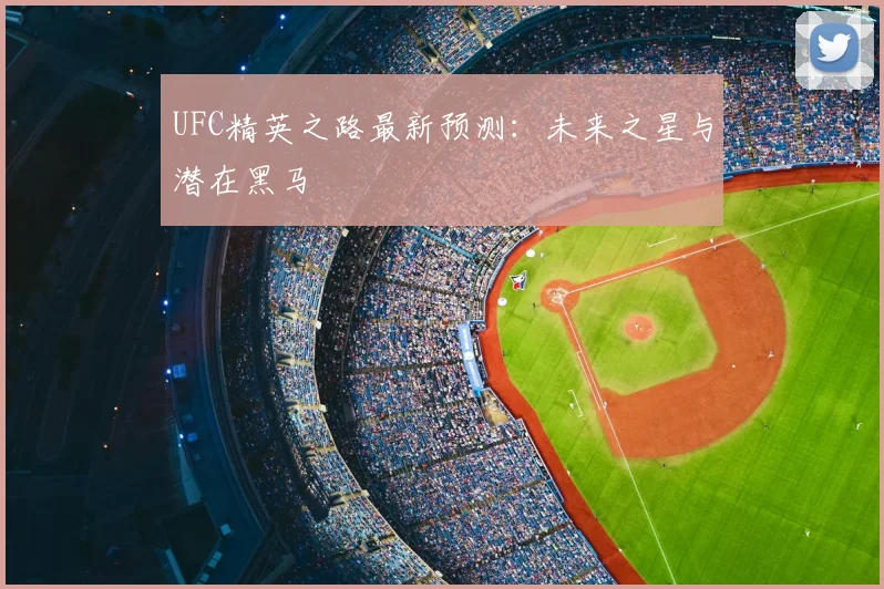 UFC精英之路最新预测：未来之星与潜在黑马
