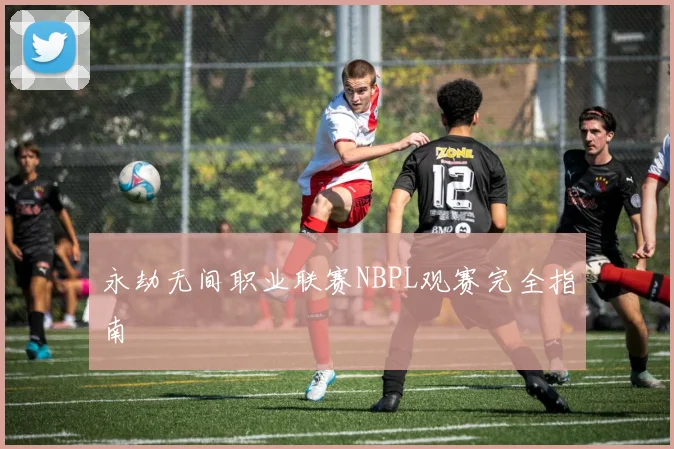 永劫无间职业联赛NBPL观赛完全指南