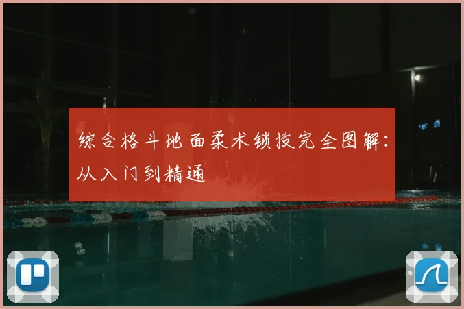 综合格斗地面柔术锁技完全图解：从入门到精通