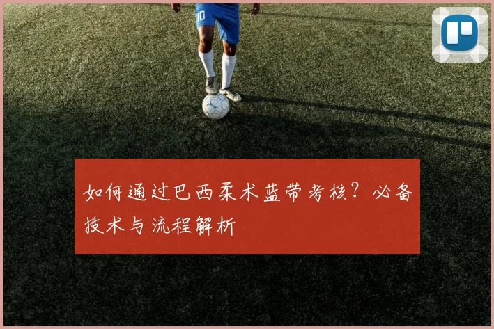 如何通过巴西柔术蓝带考核？必备技术与流程解析
