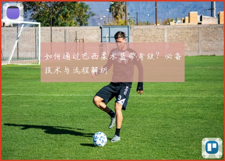 如何通过巴西柔术蓝带考核？必备技术与流程解析