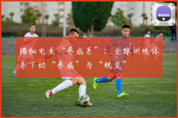揭秘电竞“养成系”：全球训练体系下的“养成”与“蜕变”